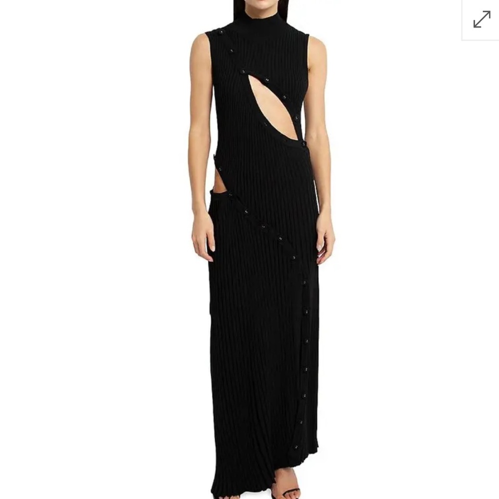 Christopher Esber Dress 👗 ⭐️